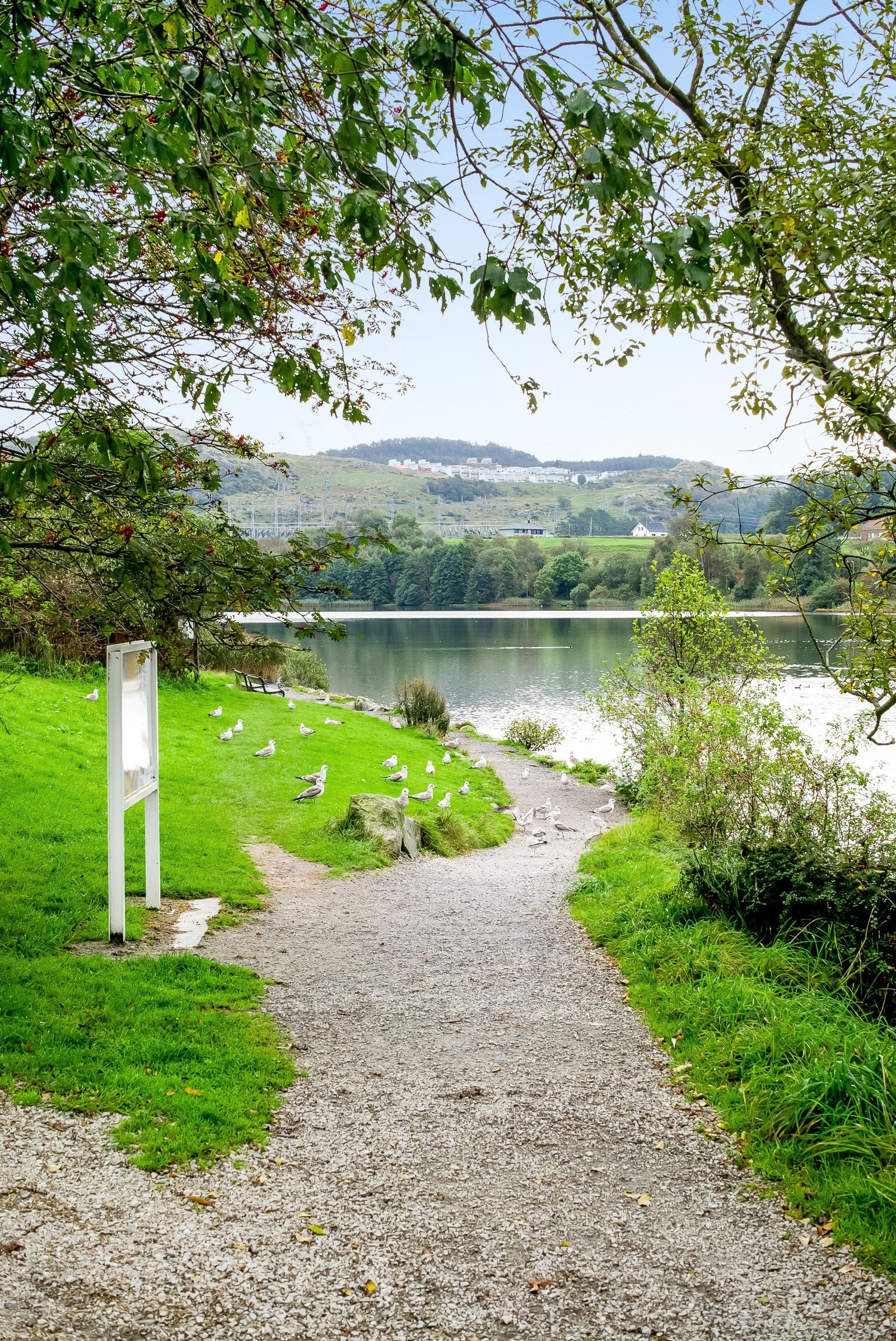 Nærområde. Galleribilde