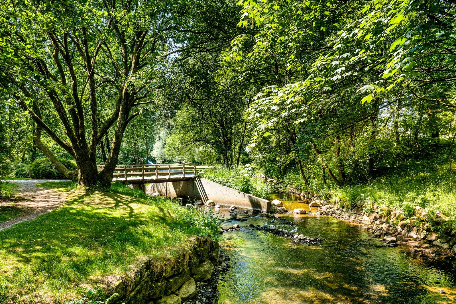 Nærområde. Galleribilde