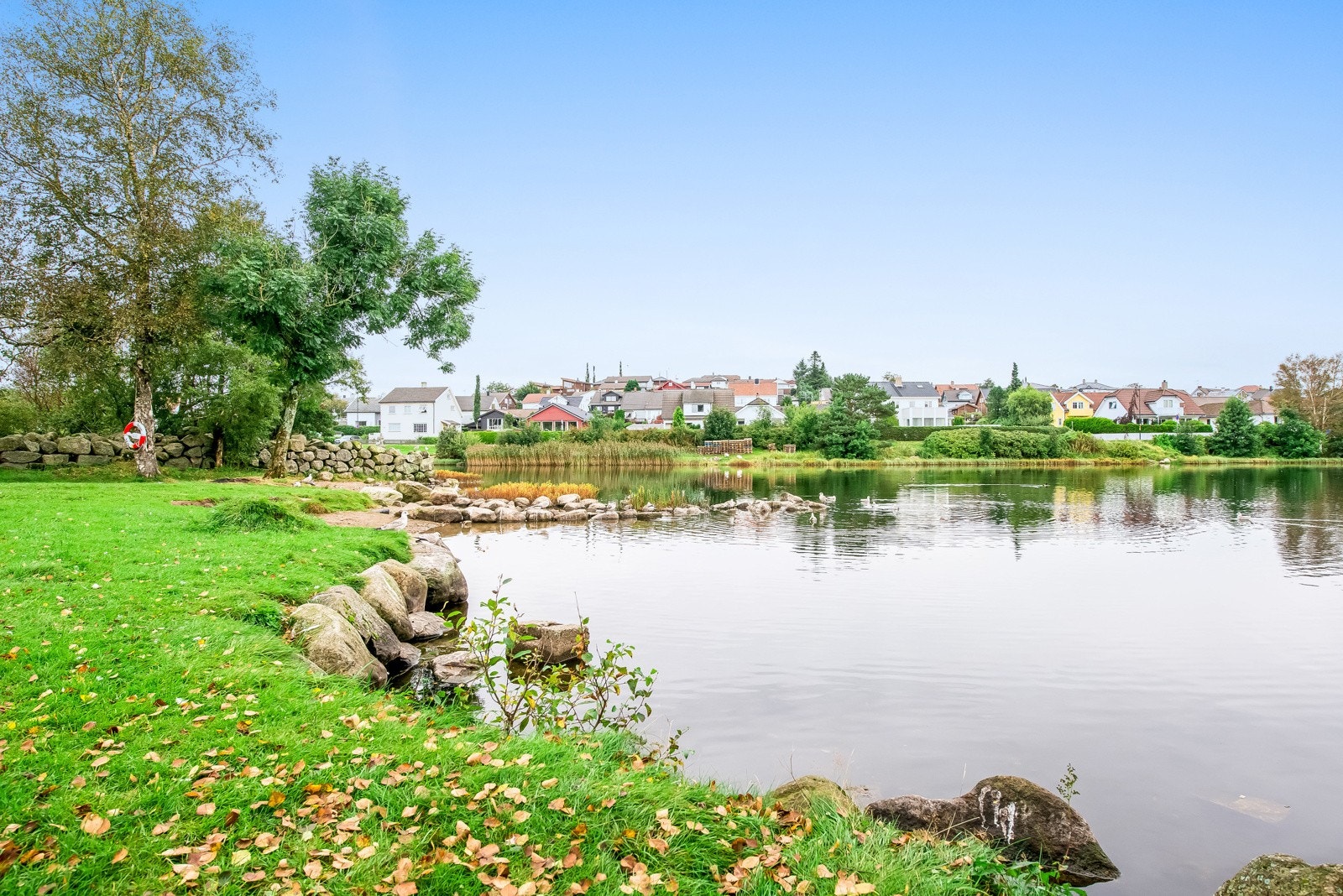 Nærområde. Galleribilde