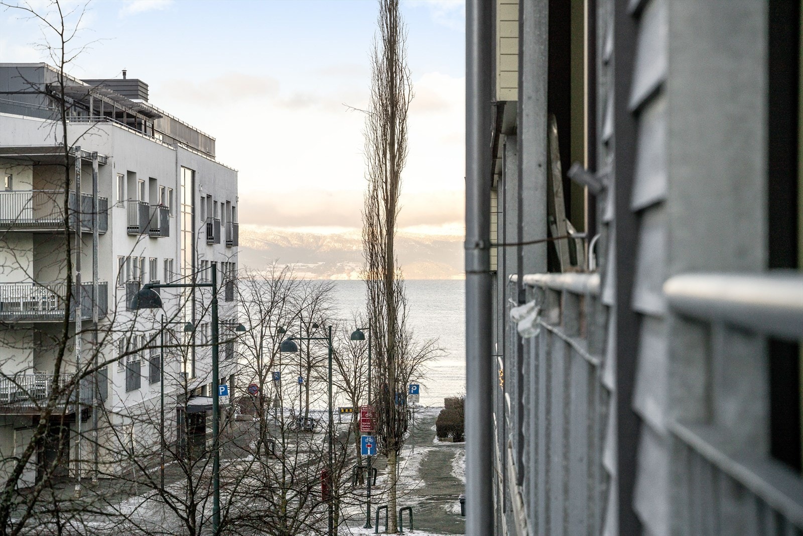 Utsikt mot Trondheimsfjorden. Galleribilde