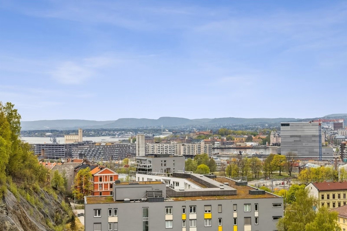 Fantastisk utsikt over byen, sjøen og grøntområde. Galleribilde
