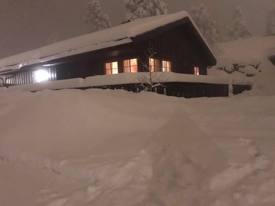 Selgers eget bilde. Galleribilde