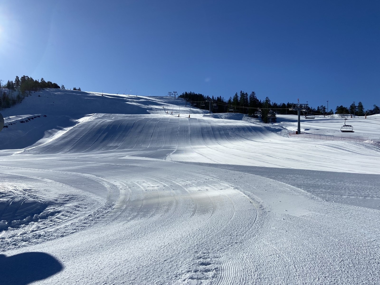 Selgers eget bilde. Galleribilde