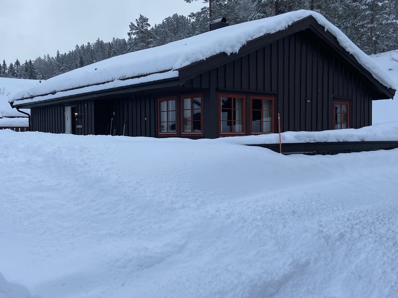 Selgers eget bilde. Galleribilde