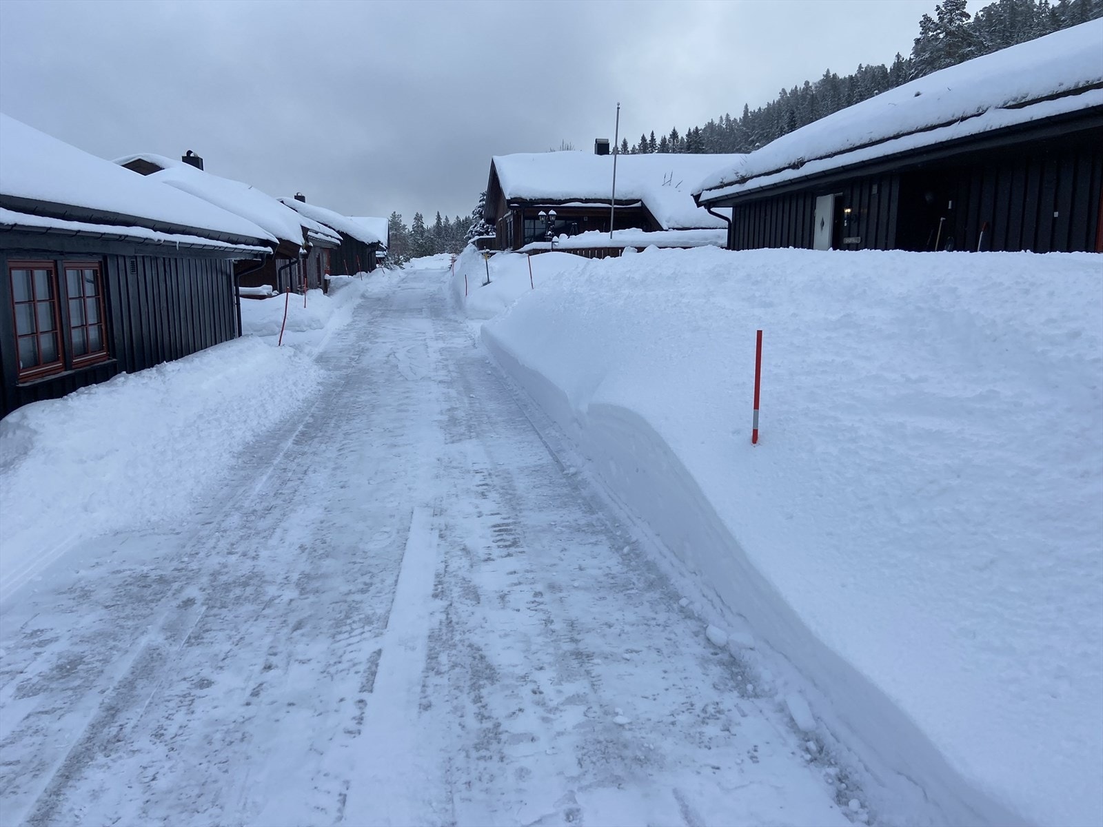 Selgers eget bilde. Galleribilde