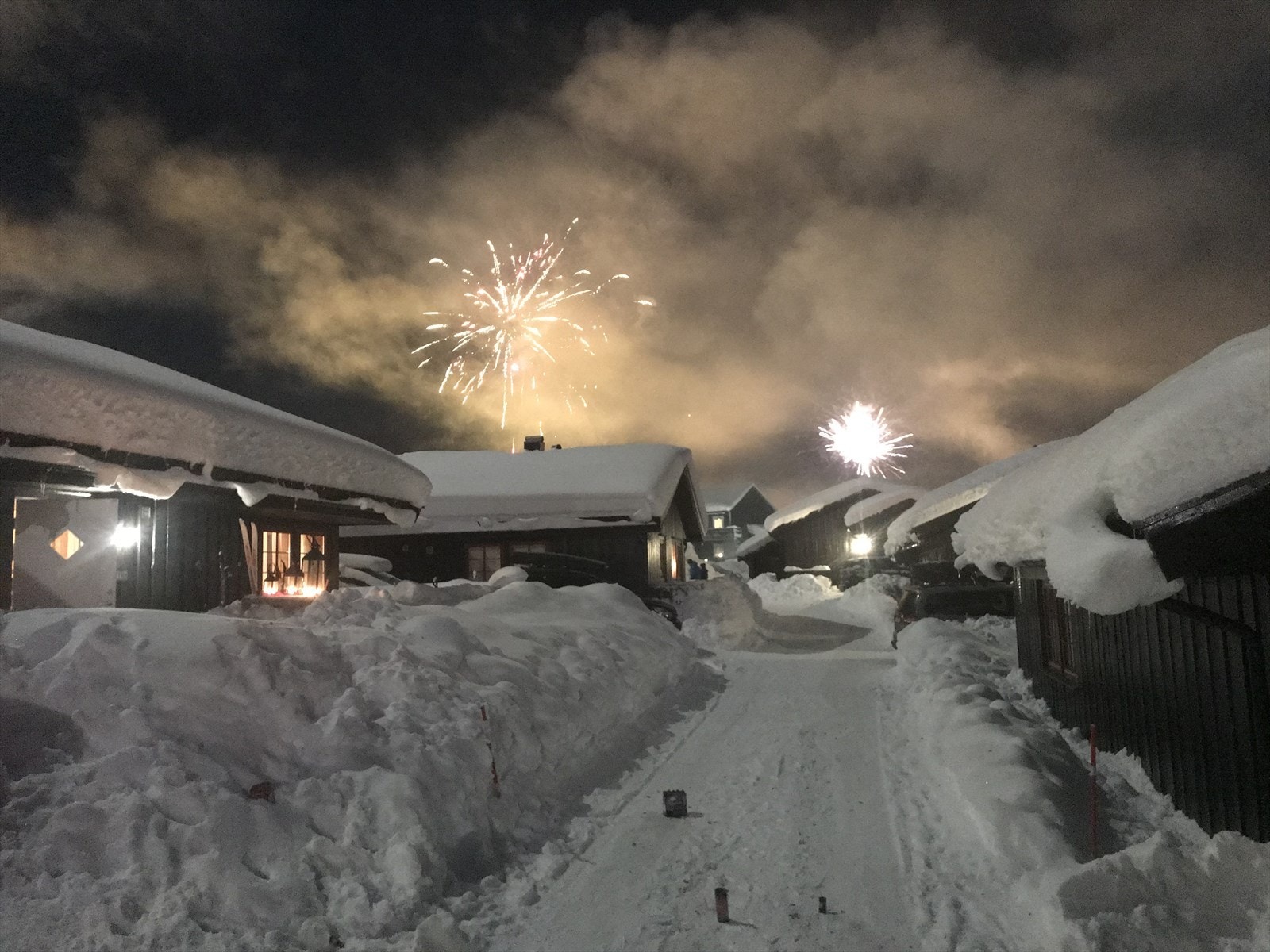 Selgers eget bilde. Galleribilde