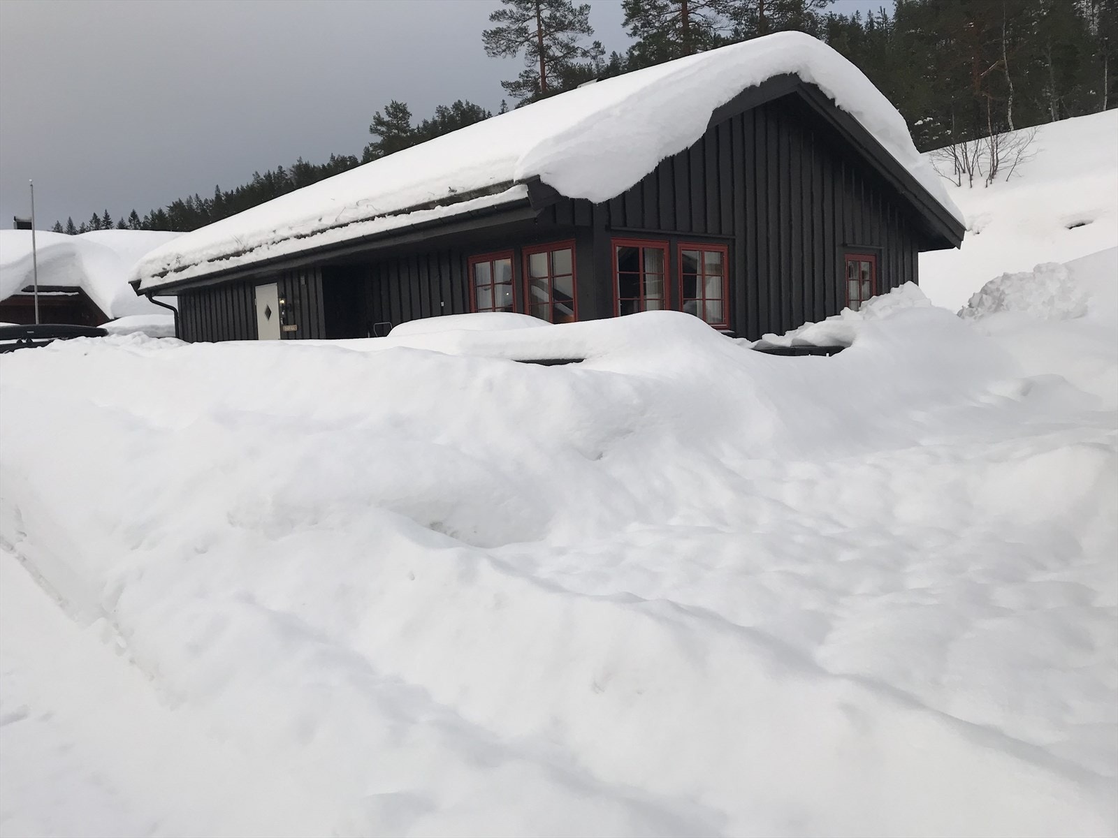 Selger eget bilde. Galleribilde