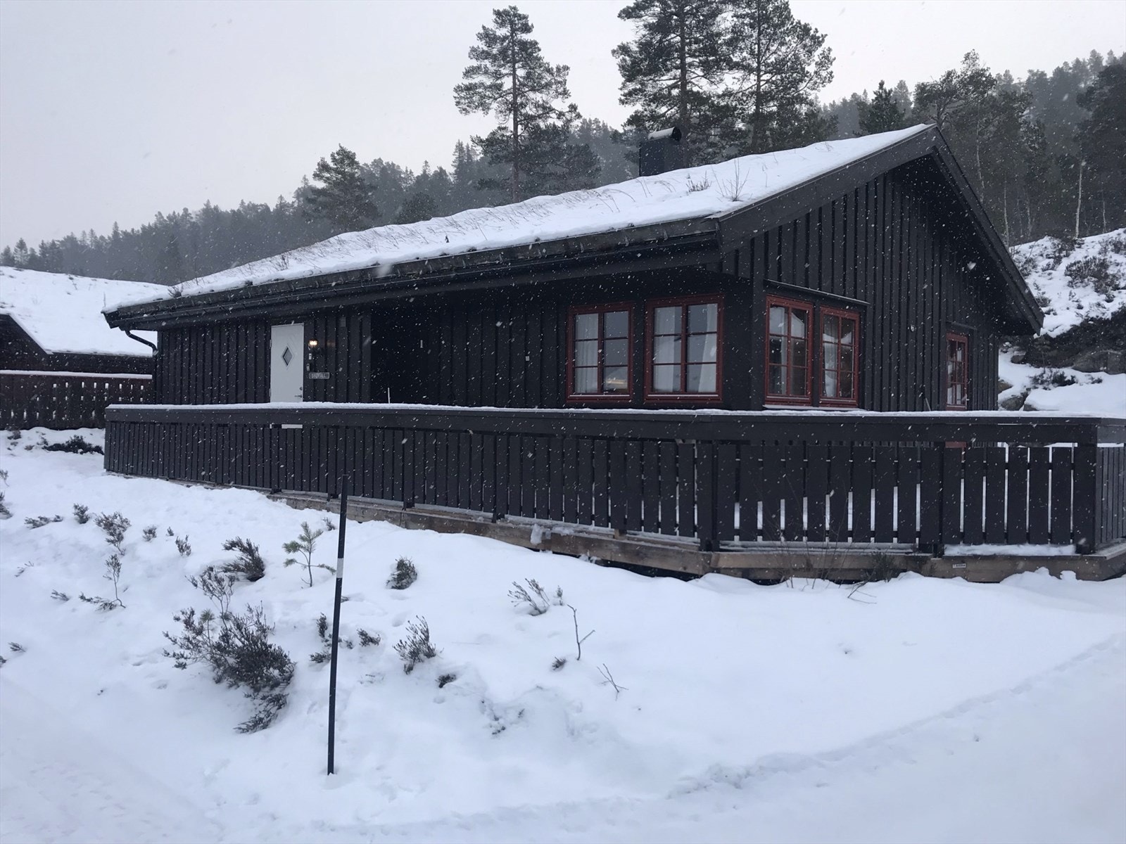 Selgers eget bilde. Galleribilde