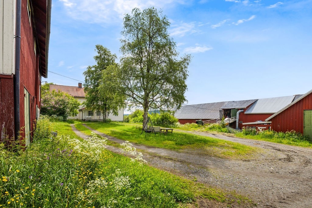 Koselig tun på gården. Galleribilde