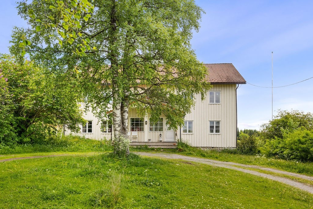 Inngangsparti på huset. Galleribilde