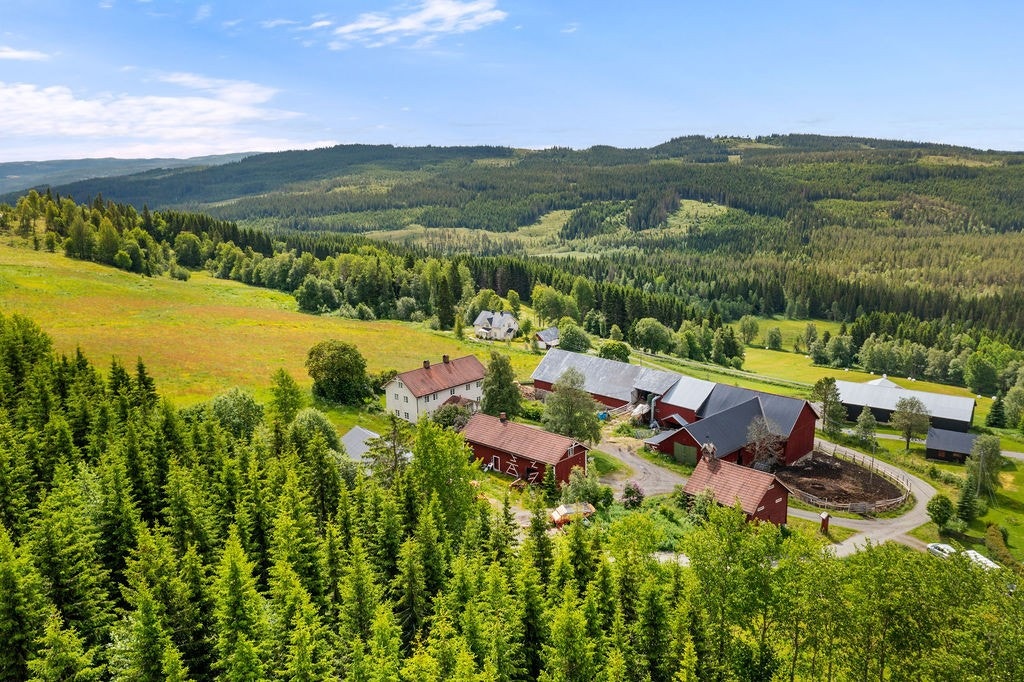 Skog og mark som nærmeste nabo. Galleribilde