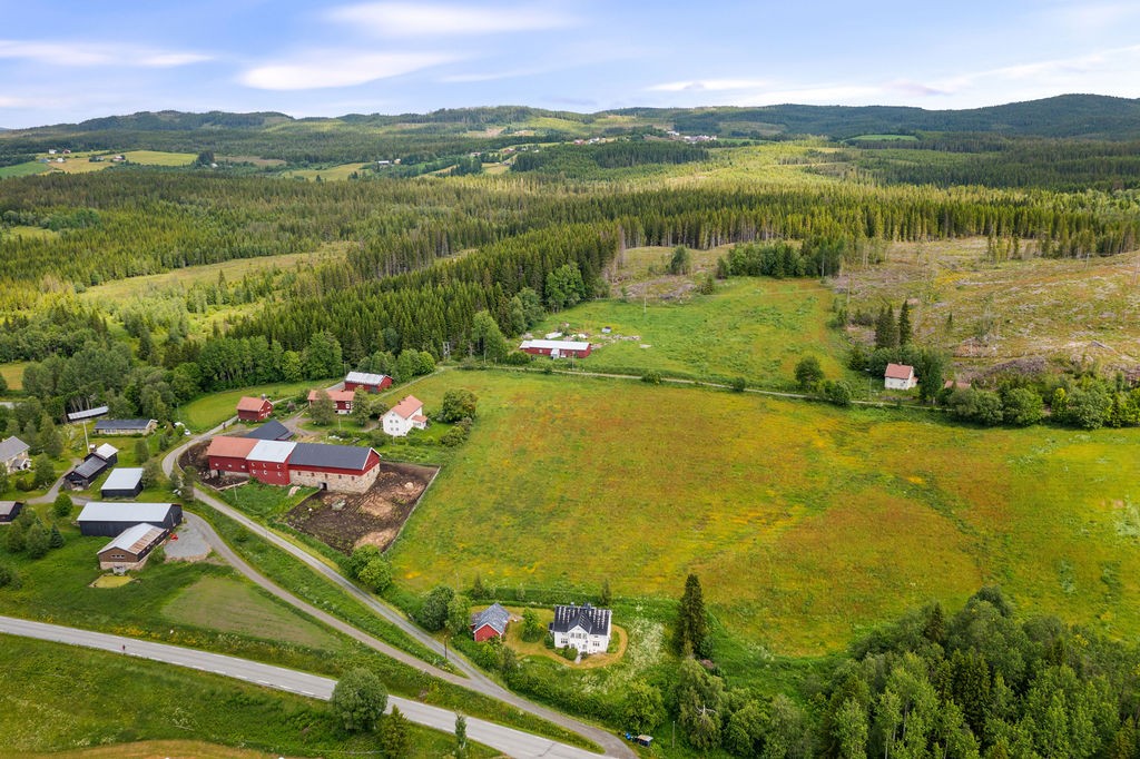 Skrå helling på eiendommen. Galleribilde