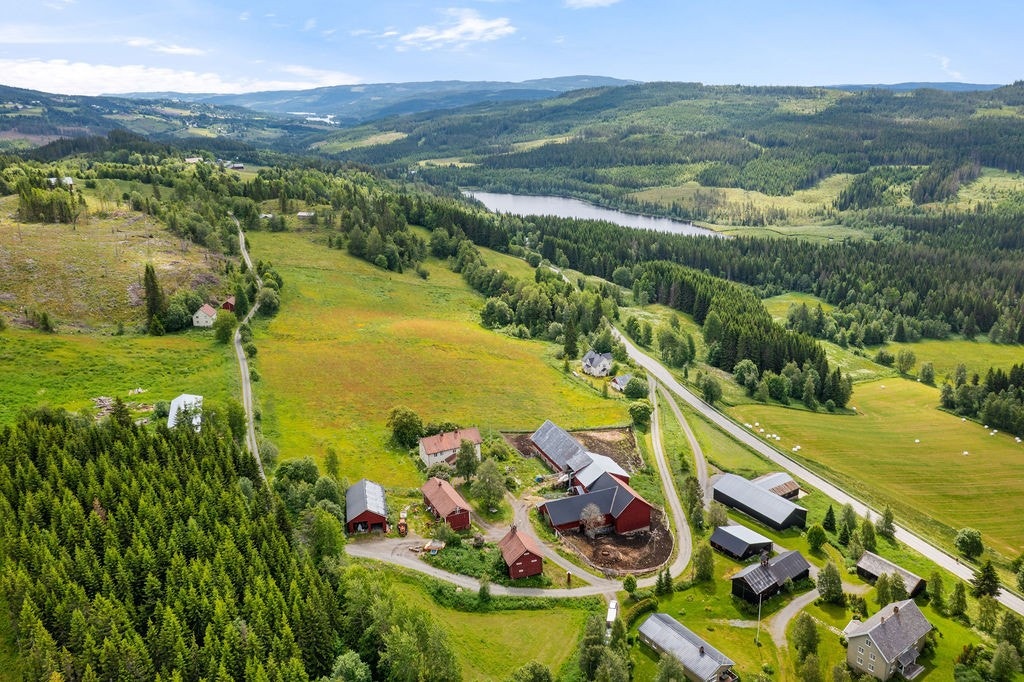 Idylliske omgivelser. Galleribilde