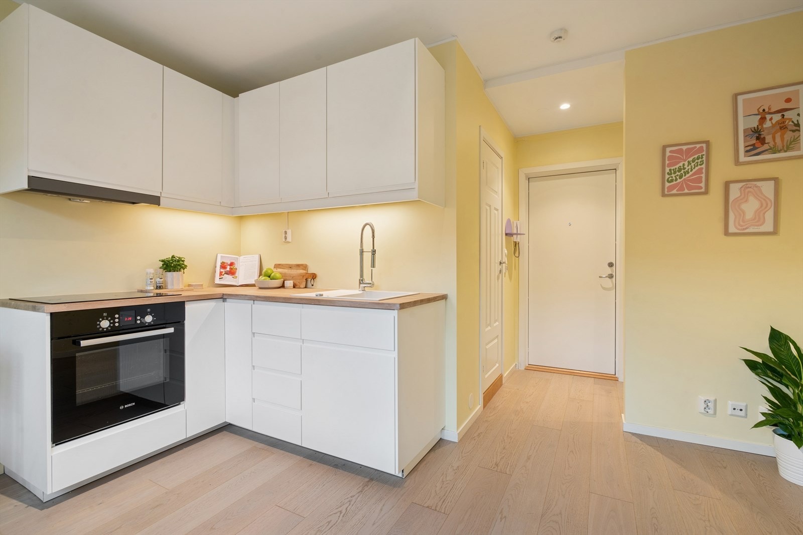 Benkeplate av eik som er slitesterkt Galleribilde