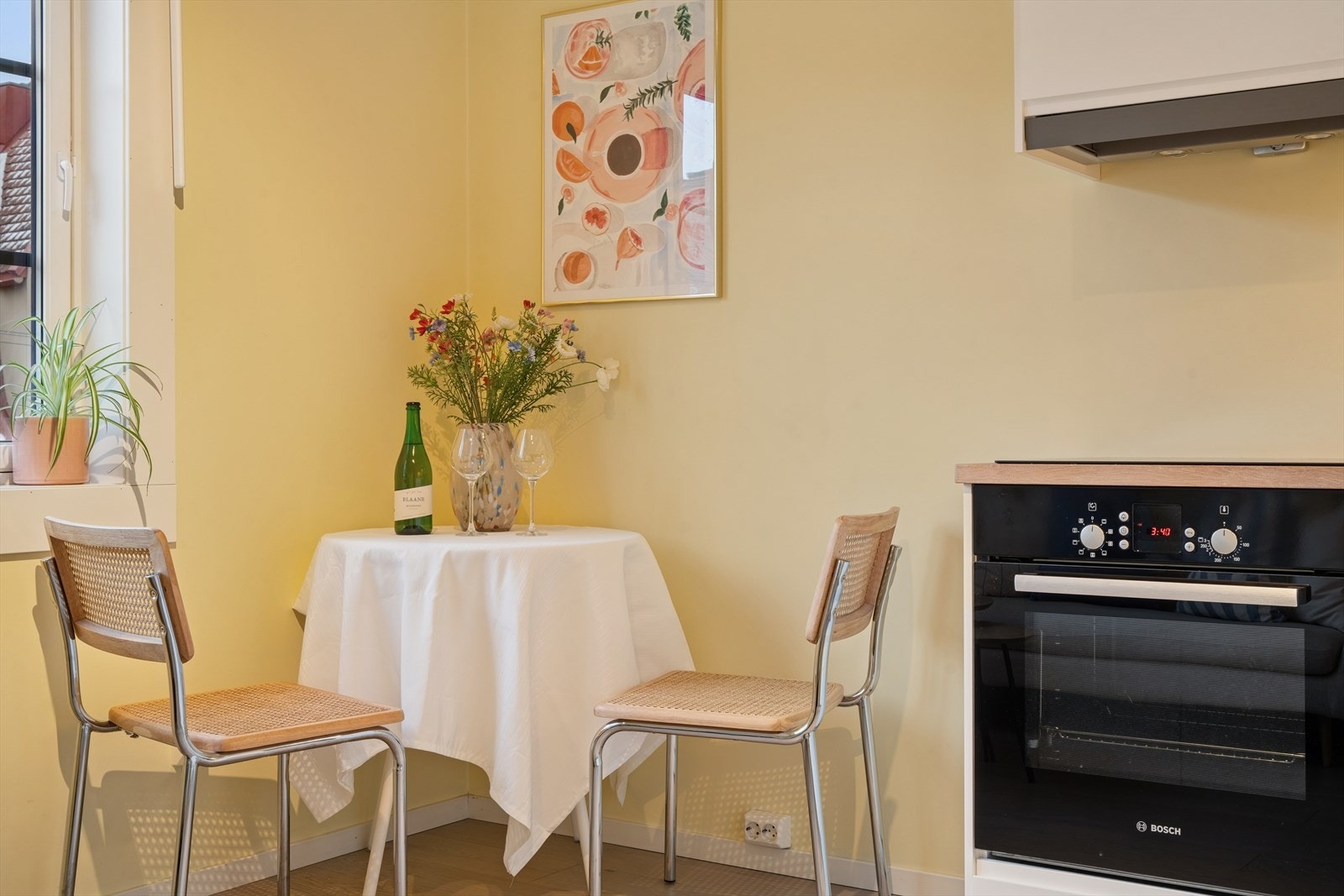 Bosch hvitevarer medfølger leiligheten Galleribilde