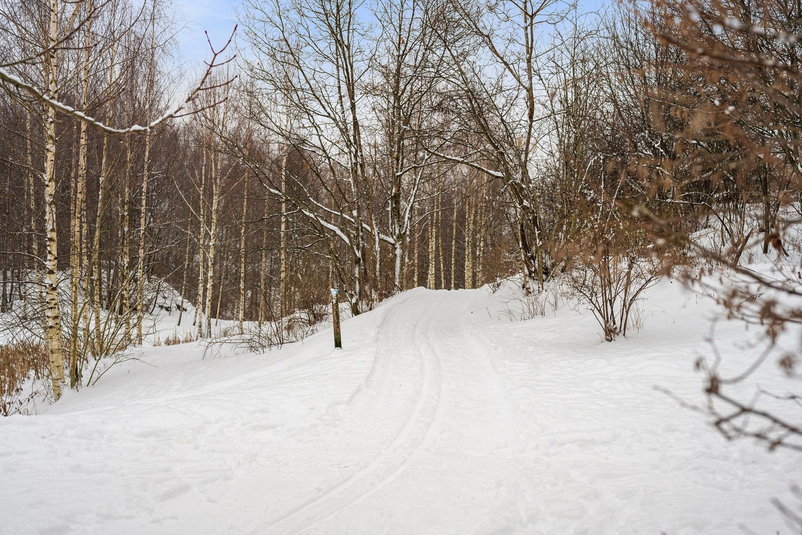 Når snøforholdene tillater det, hender det at det kjøres skispor "rett utenfor" verandadøren Galleribilde