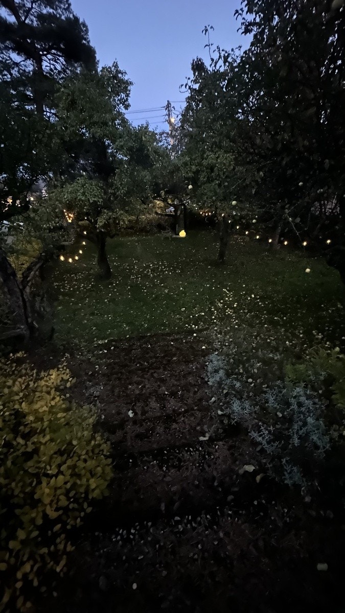 Stemningsbilde hage Galleribilde