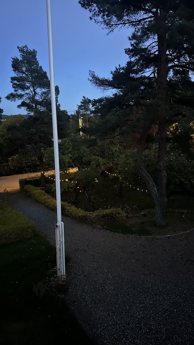 Stemningsbilde hage Galleribilde