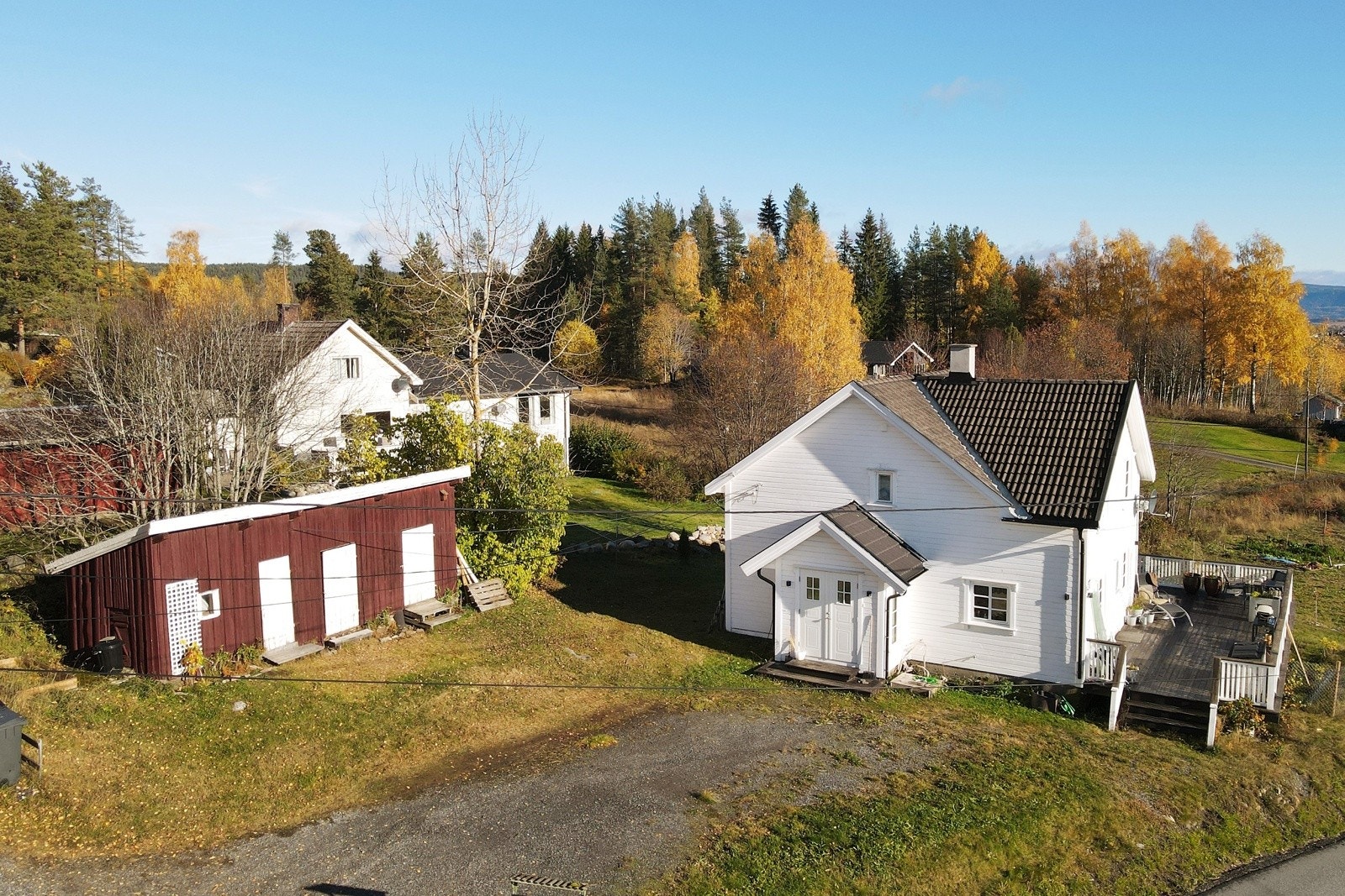 Sommerbilder. Galleribilde