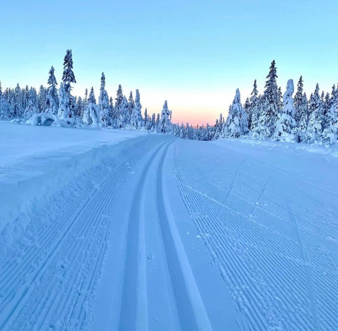 Magiske skiforhold, med milevis av preparerte løyper. Galleribilde