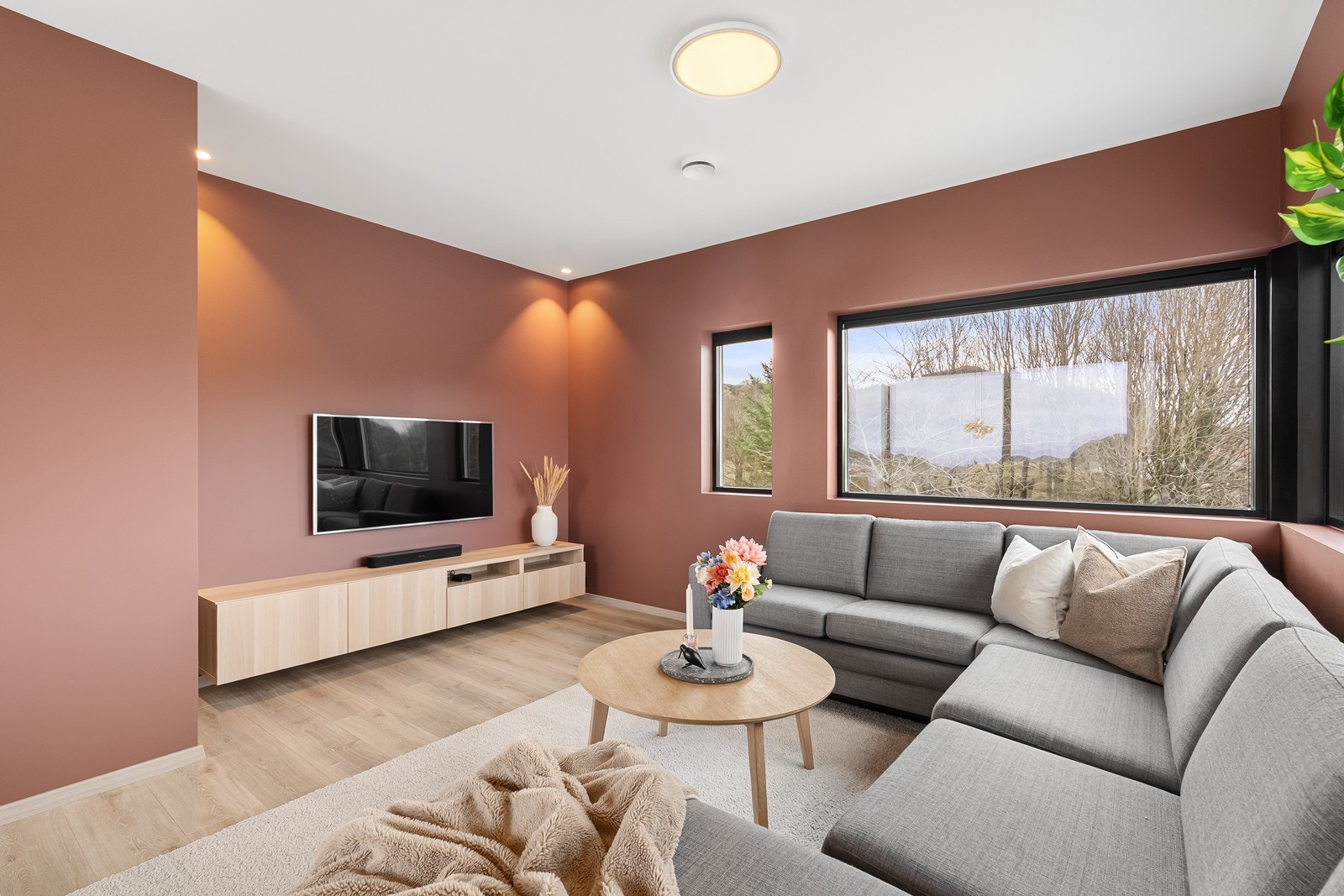 Tv-stue. Galleribilde