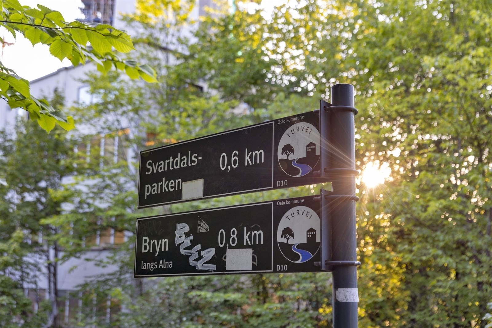 Her er det lett å ta seg ut på turer i både skog og parker i nærheten Galleribilde