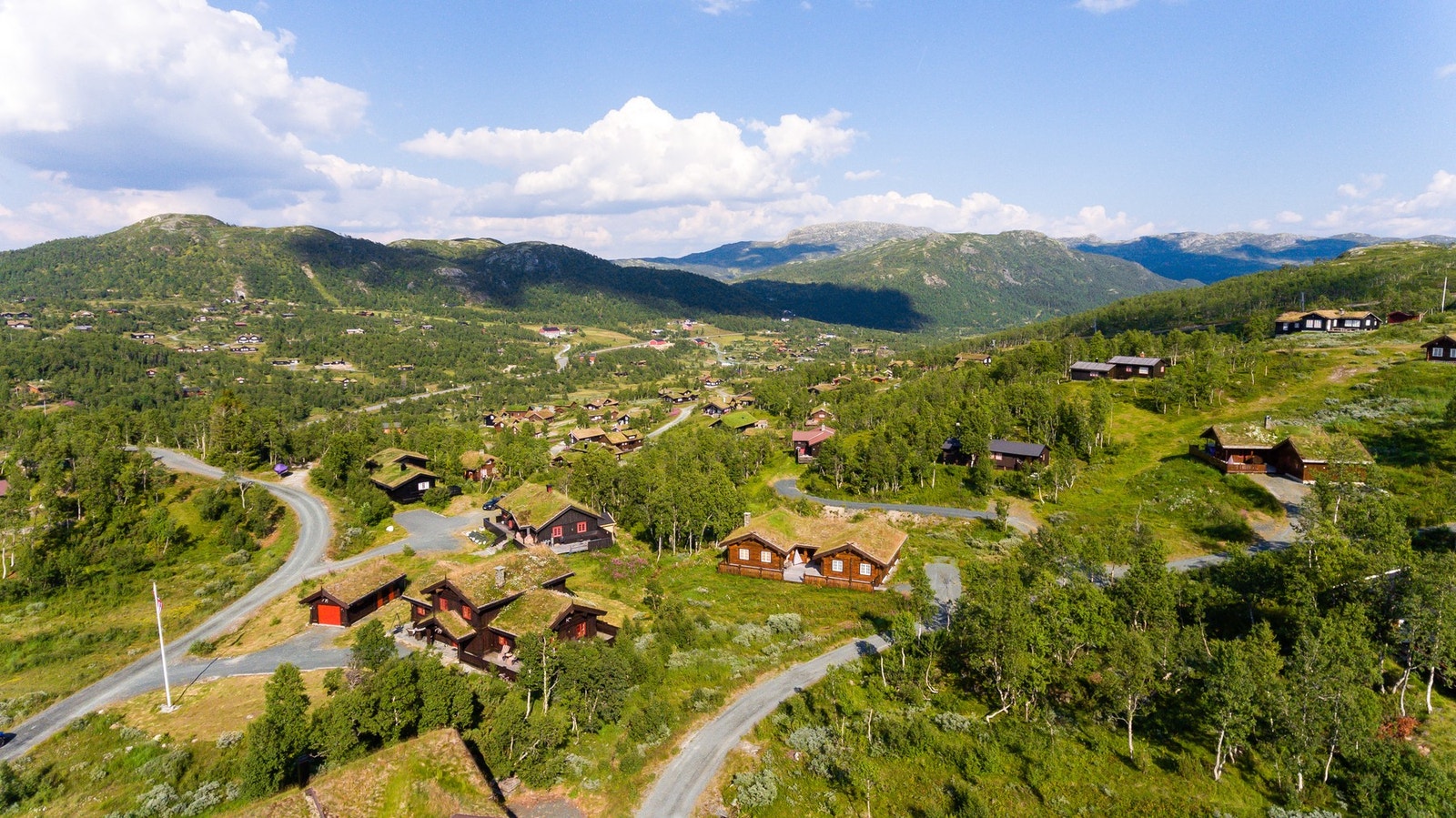 Nærområdet sommerstid Galleribilde