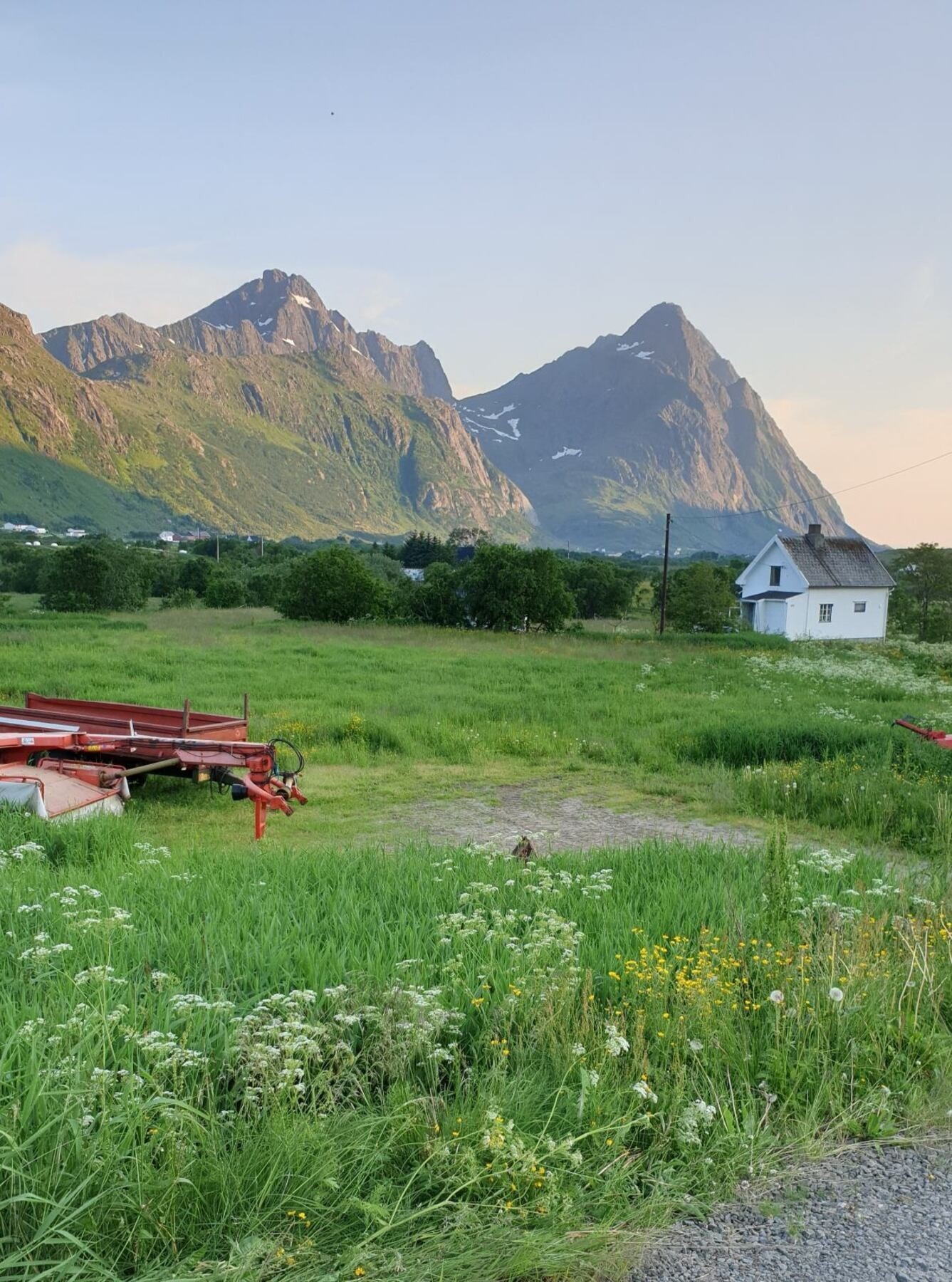 Selgers private bilder. Sommerkveld. Galleribilde