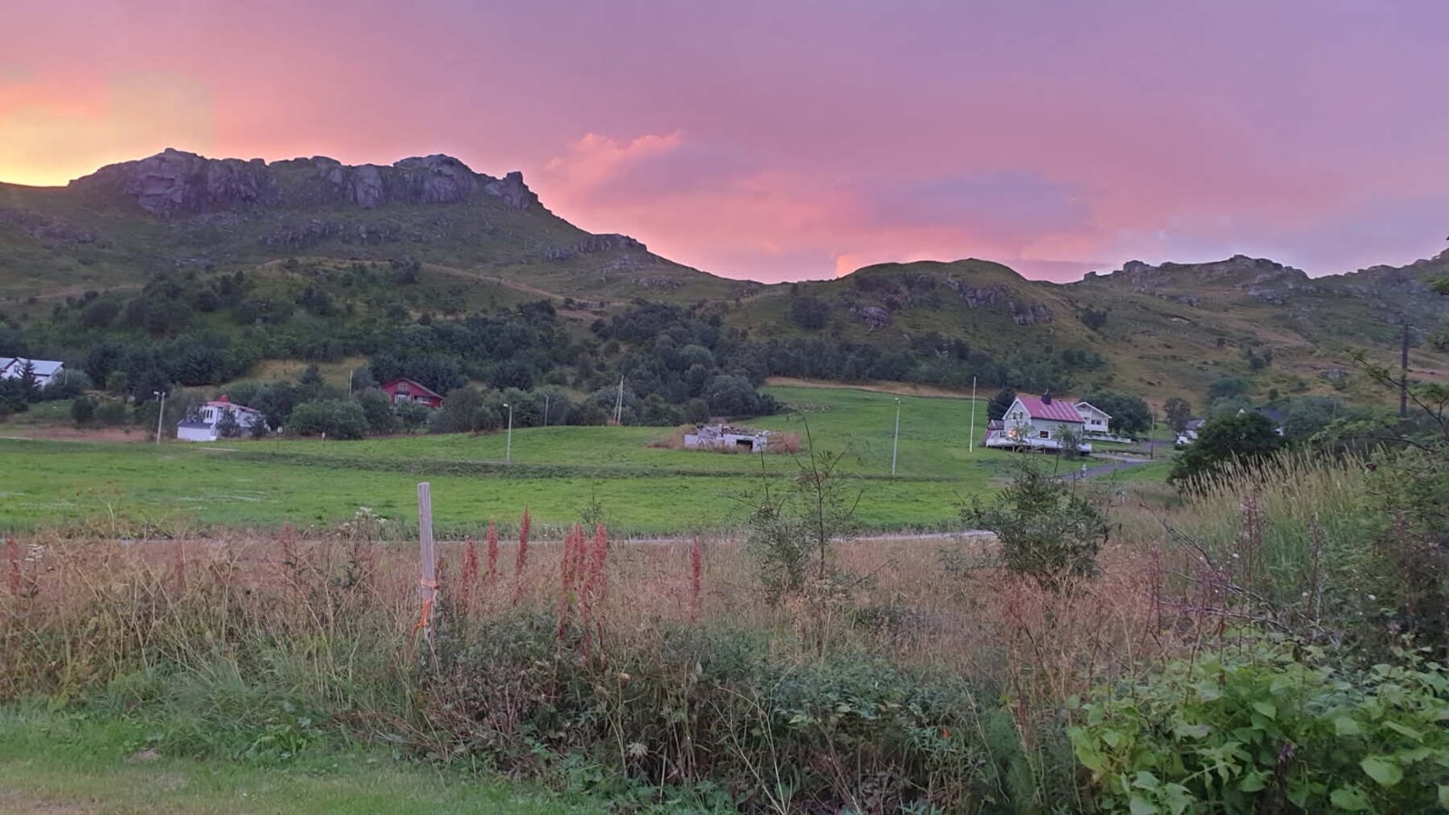 Selgers private bilder. Galleribilde