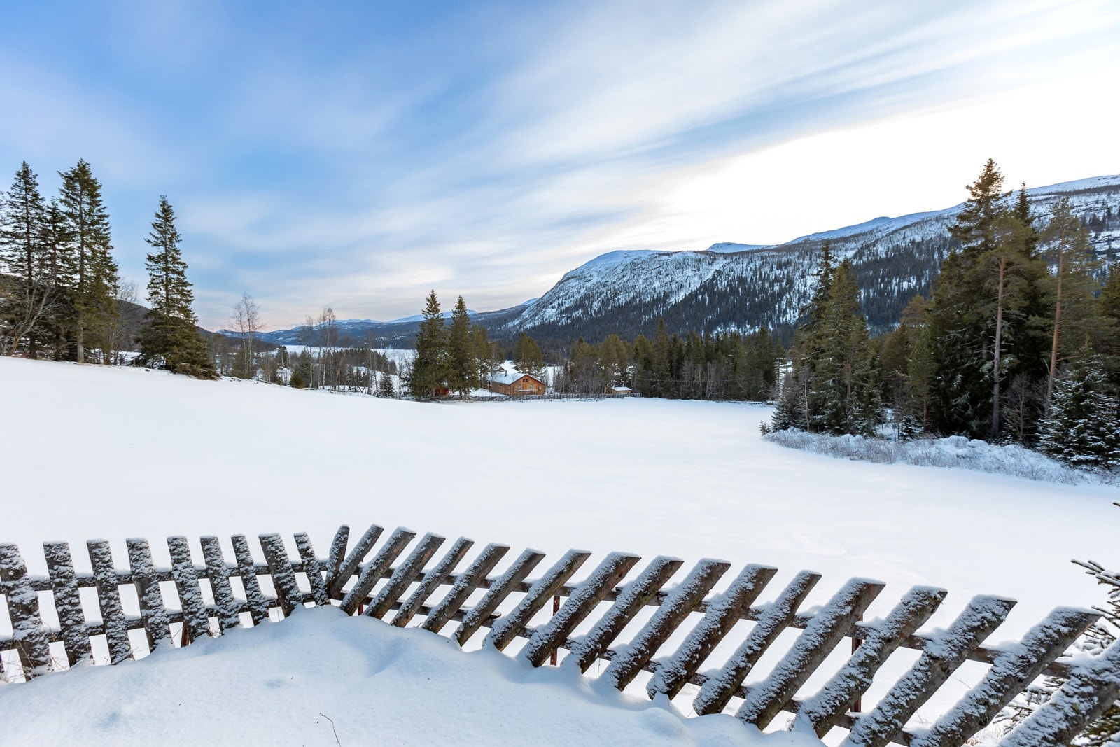 Herlig utsikt fra hytteveggen. Galleribilde