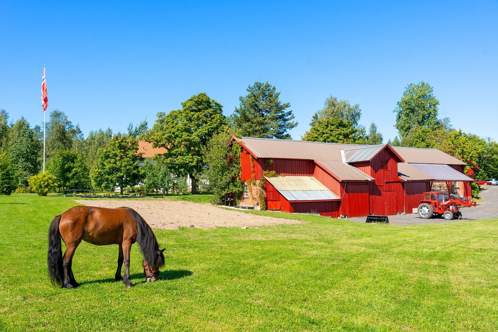 Her kombineres hjemmekos med naturopplevelser, og hesten foran gården gir et glimt av idyllen som venter. Galleribilde