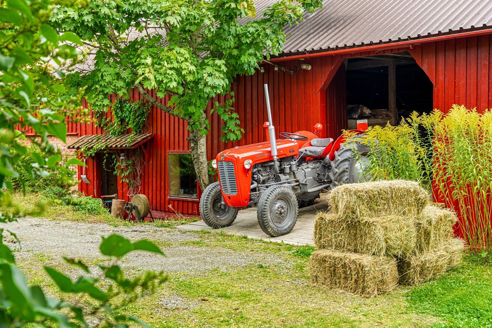 Gårdens trofaste arbeidshest, traktoren som hjelper til året rundt. Galleribilde