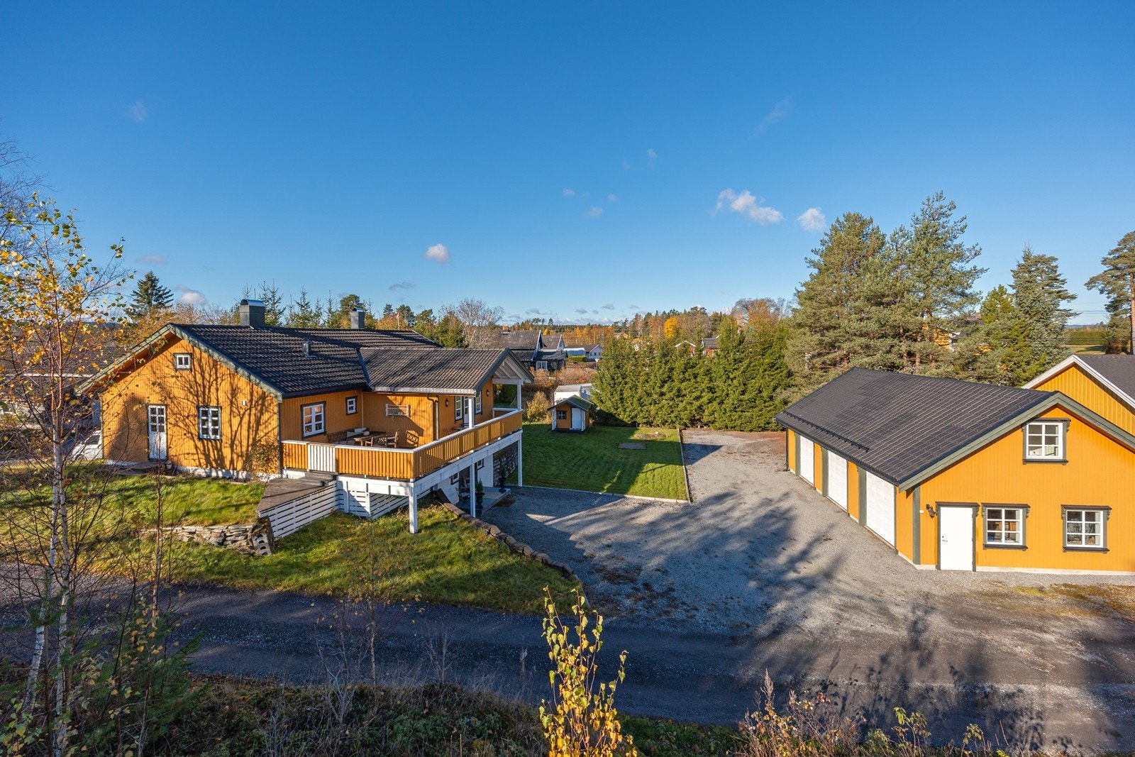 Sommerbilde. Galleribilde