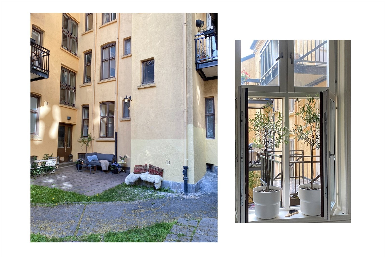 Grønn og trivelig bakgård. Galleribilde