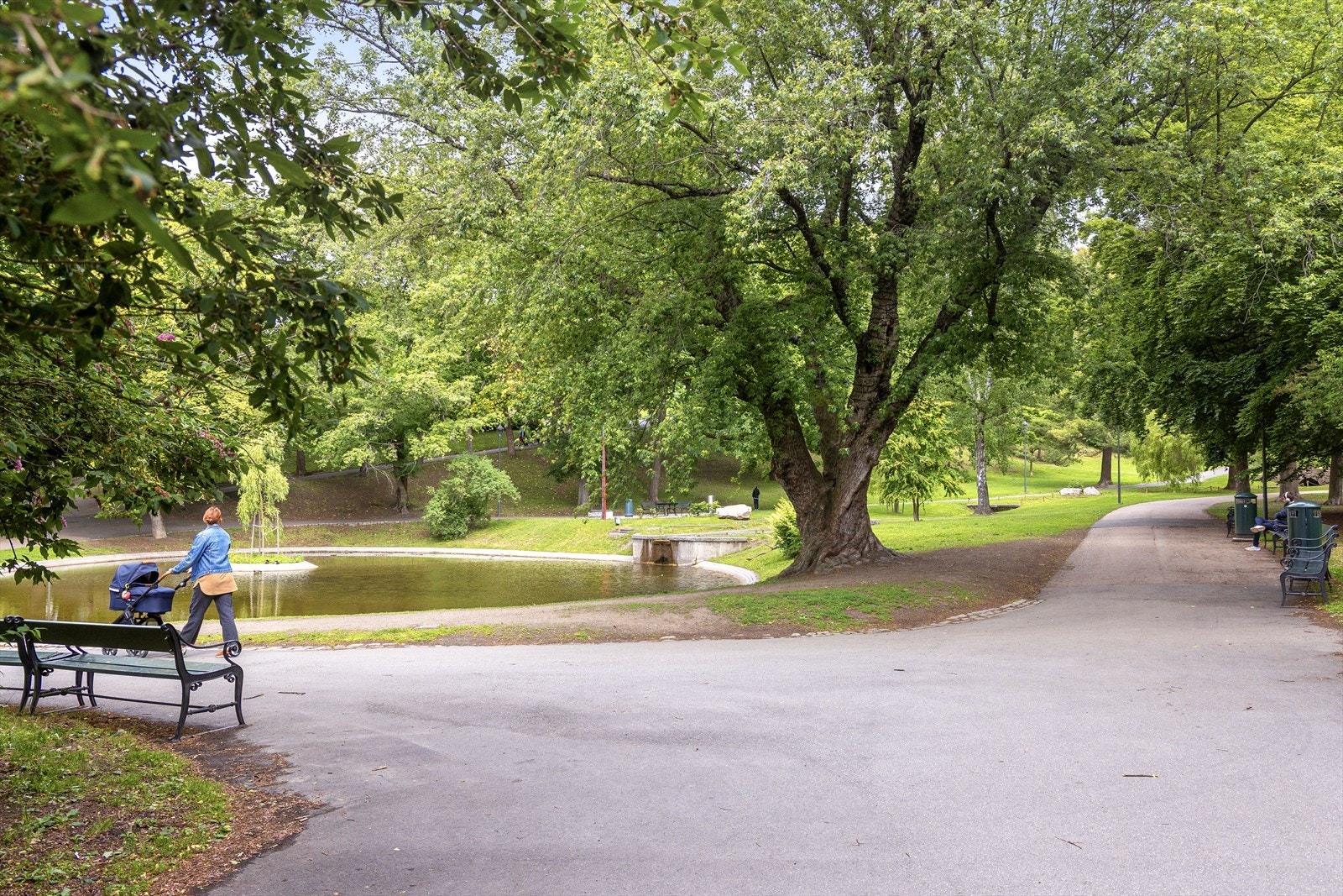 Områdebilde - Familievennlige gangveier går gjennom hele parken, og om sommeren finner du både isbilen fra Gutta på Haugen og Deichman-bibliotekets sommerkiosk. Galleribilde