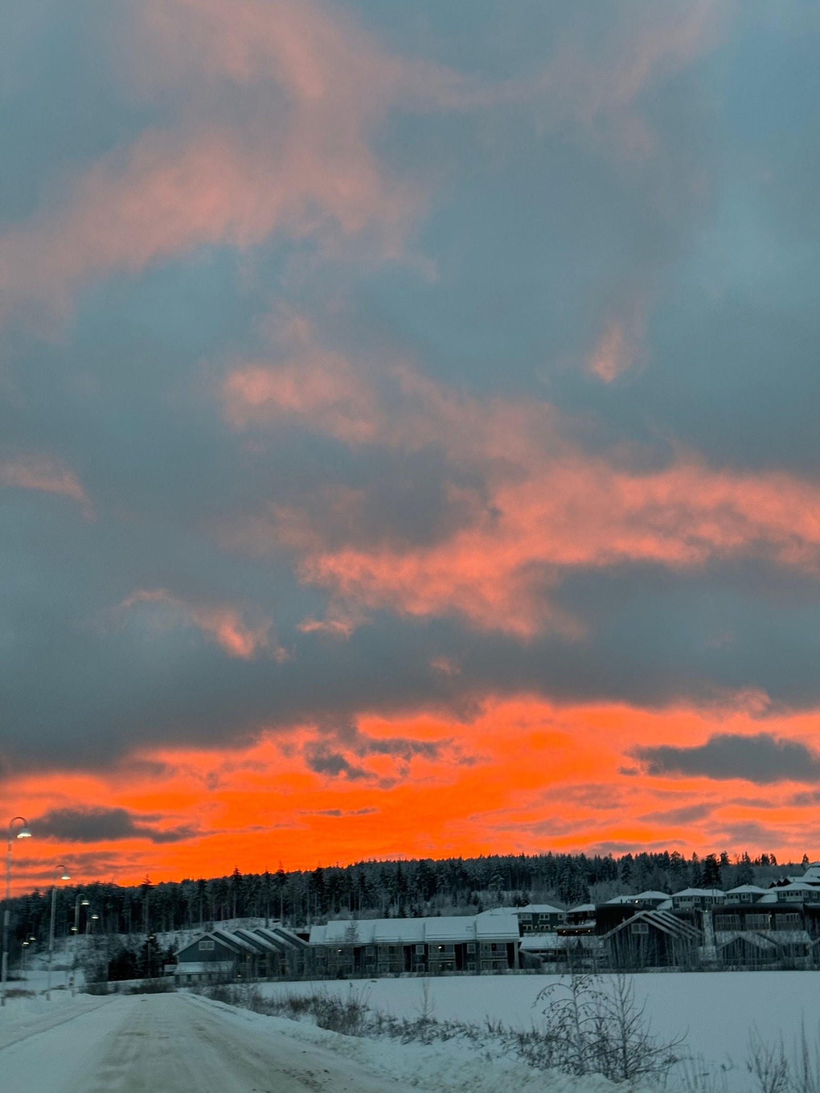 Eierbilder 4 Galleribilde