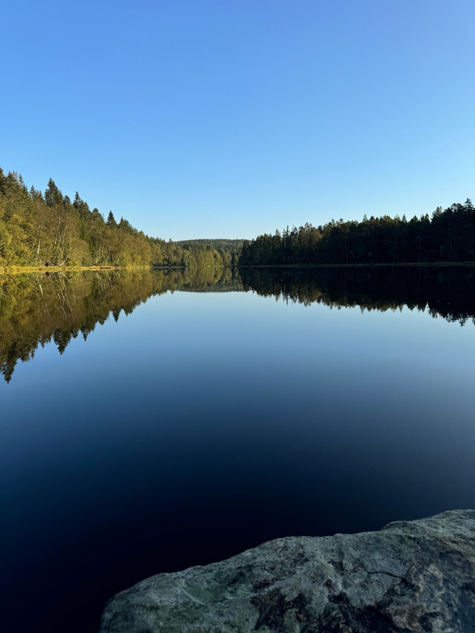 Naturskjønne omgivelser Galleribilde