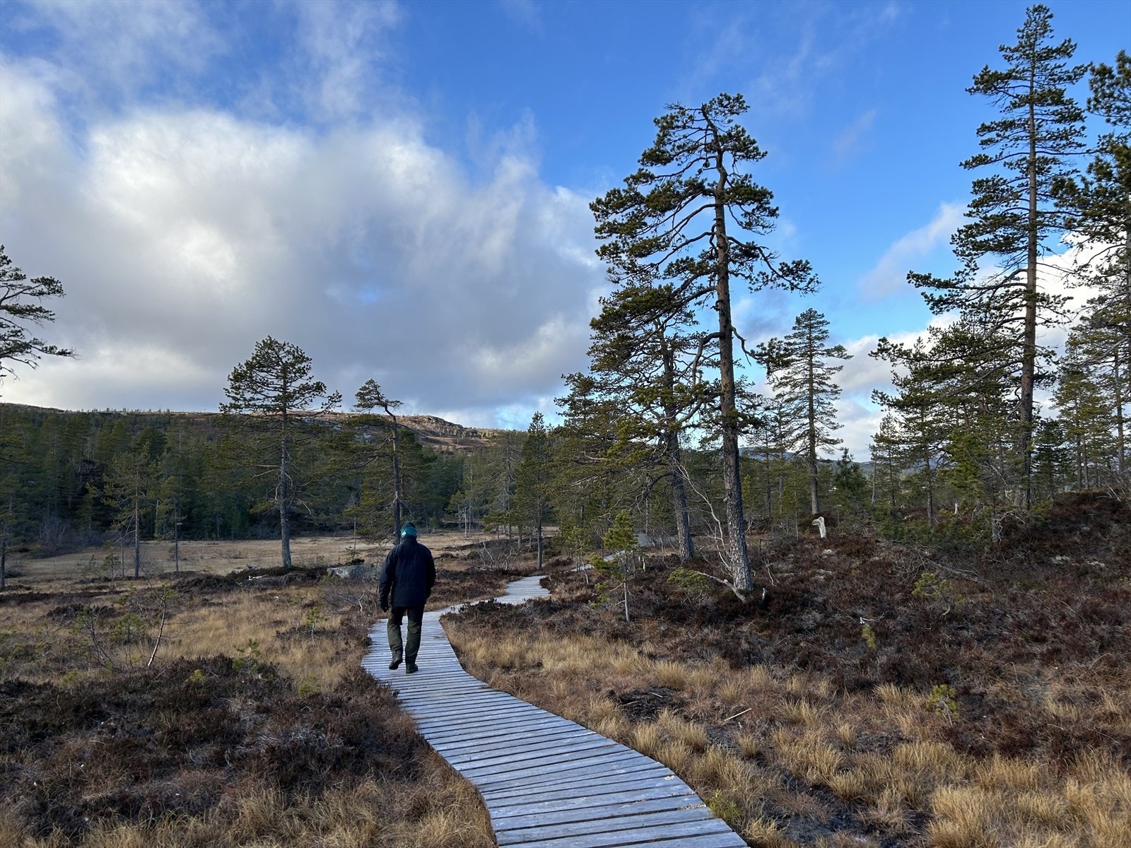 Mange stier i bløte områder på Fagerfjell har klopper. Gjør det lettere å gå langt innover fjellet for både liten og stor. Galleribilde