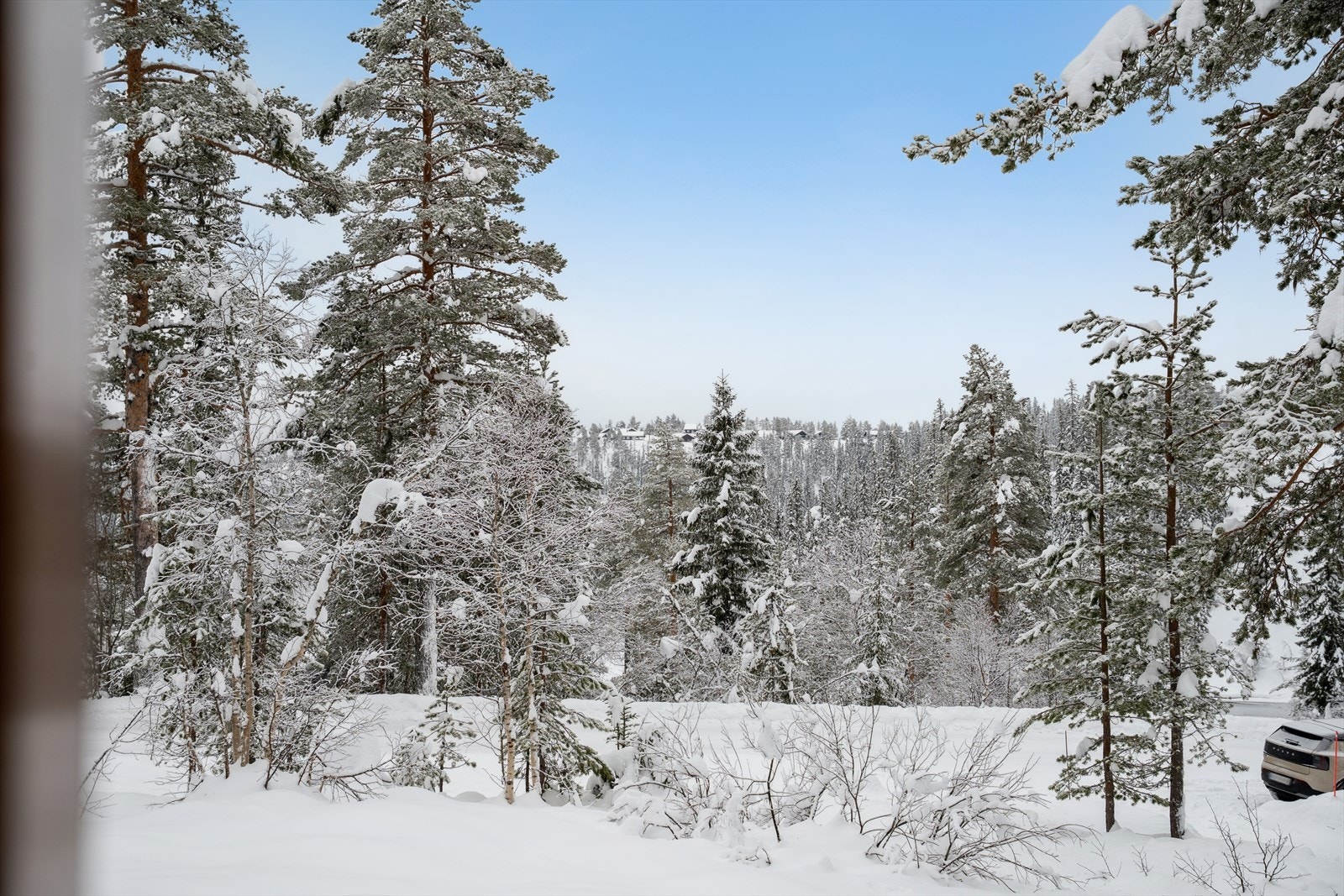 Utsikt mot snødekt skog gir en rolig og naturskjønn opplevelse. Galleribilde