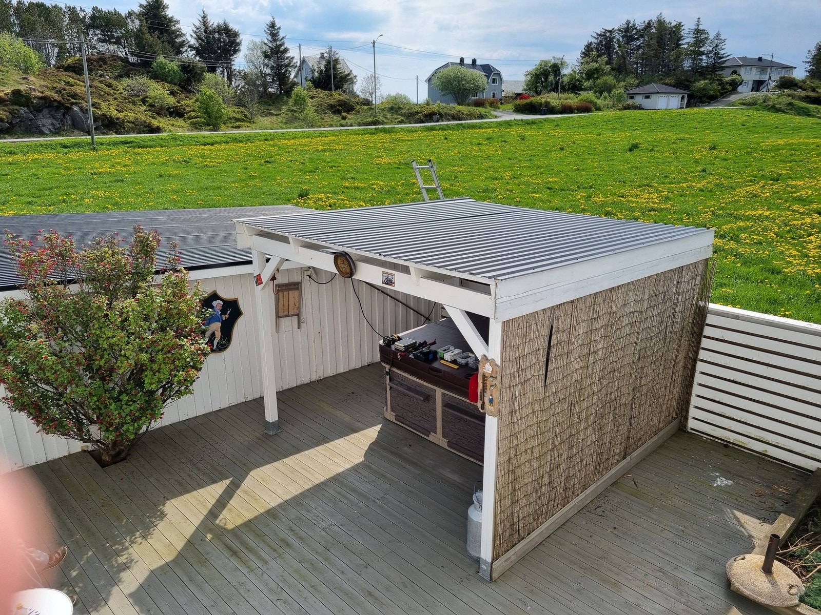 Privat bilde fra sommer Galleribilde