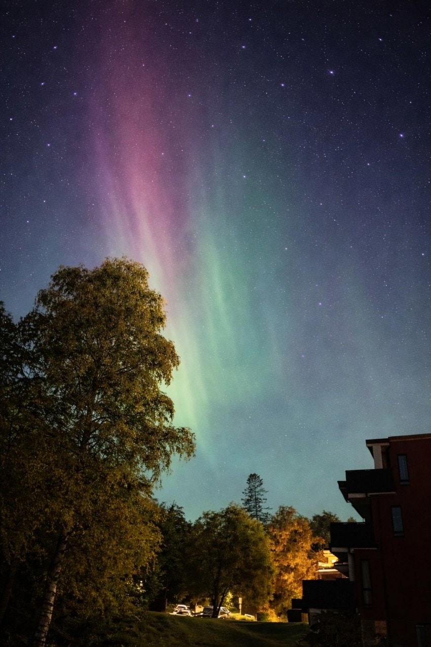 Rolig og grønt nabolag med nydelig nattehimmel og et spesielt hyggelig bomiljø. Sett fra terrassen! Galleribilde