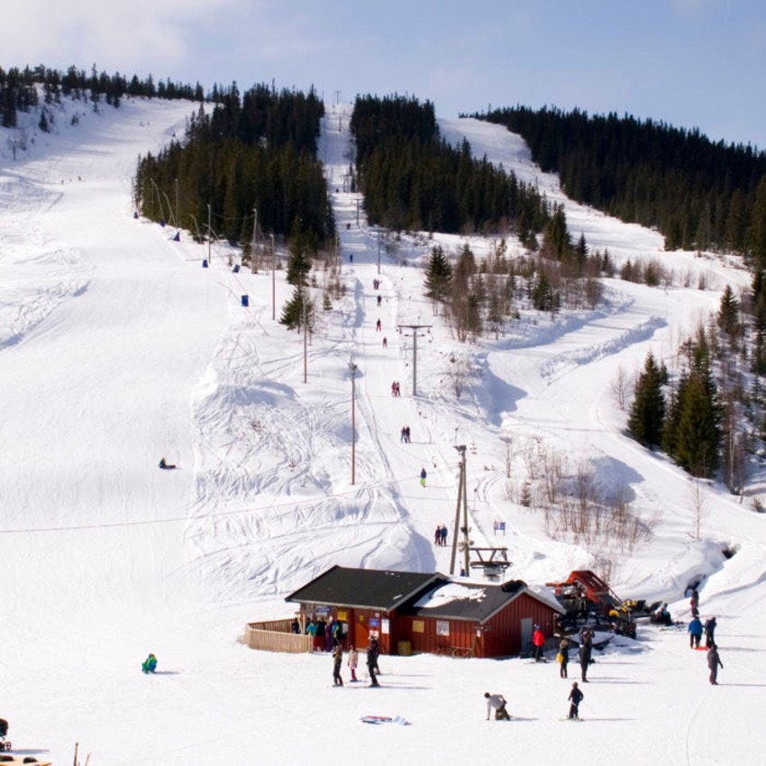 Alpinanlegget er tilpasset familien og beliggenheten gir direkte tilgang med ski inn-ut Galleribilde