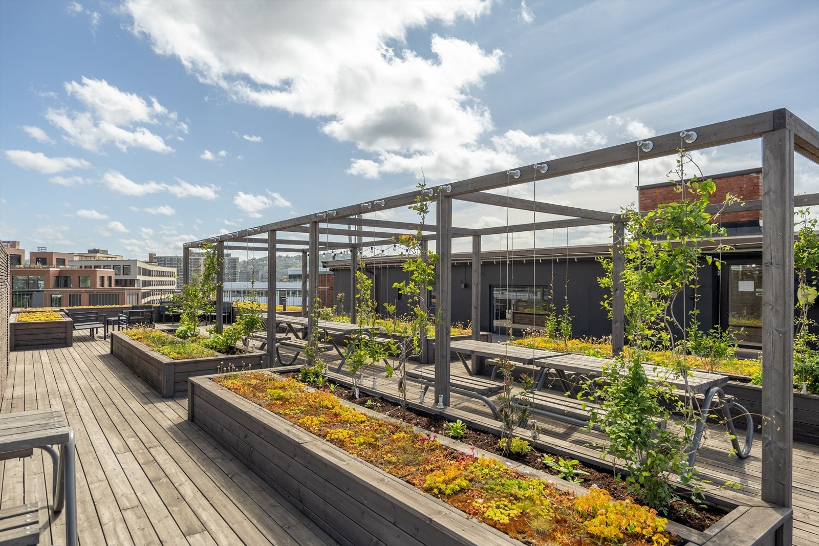 Ta heisen opp til en av Borettslagets flotte felles takterrasser. Galleribilde