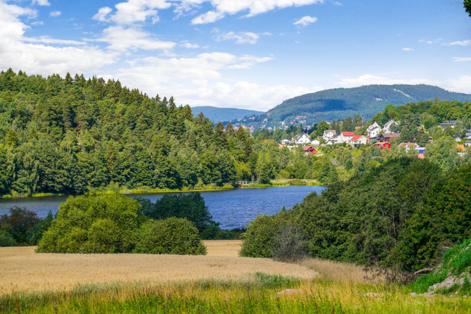 Nærhet til Østensjøvannet med fantastisk natur. Galleribilde