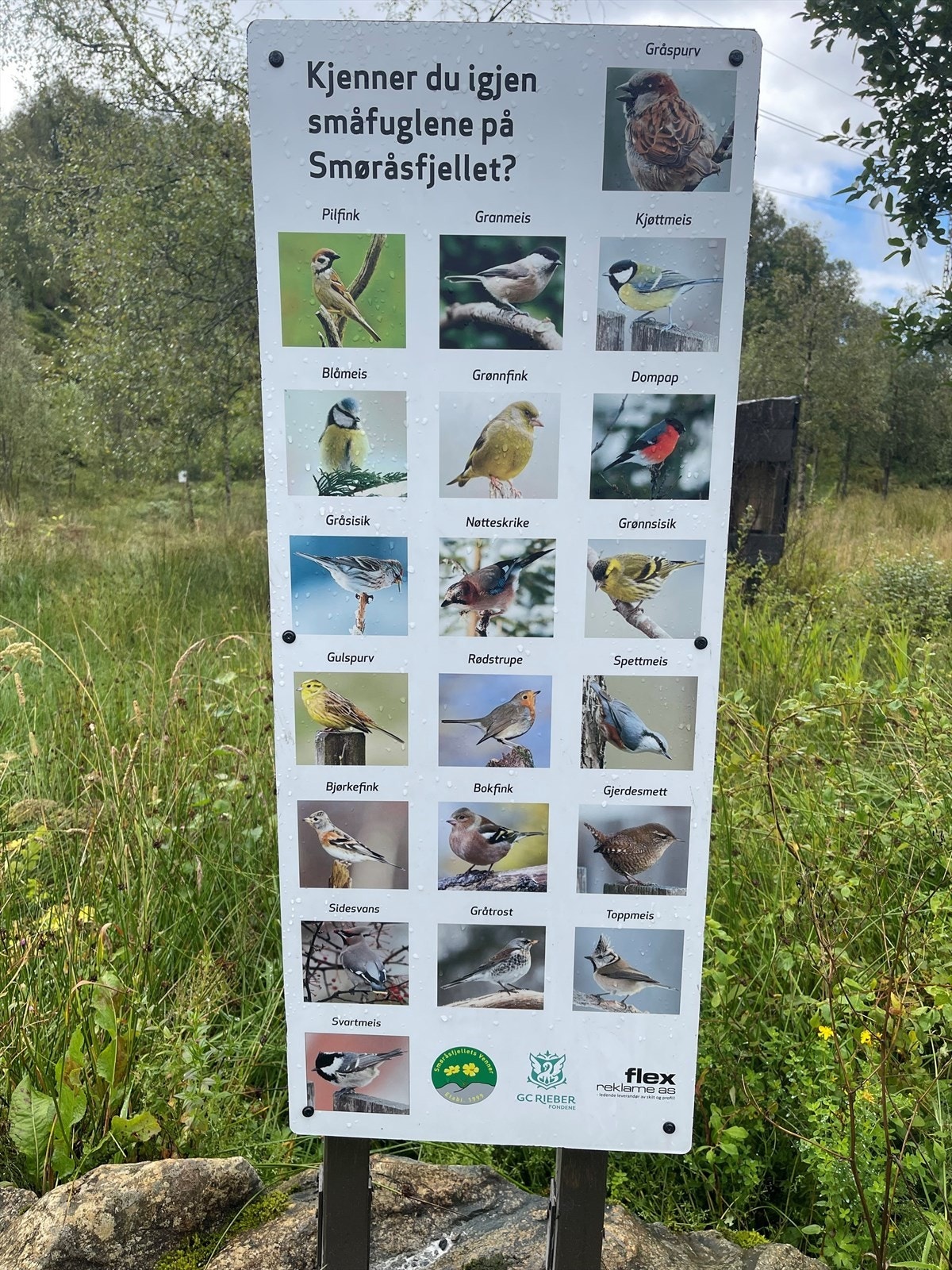 Smøråsfjellet Galleribilde