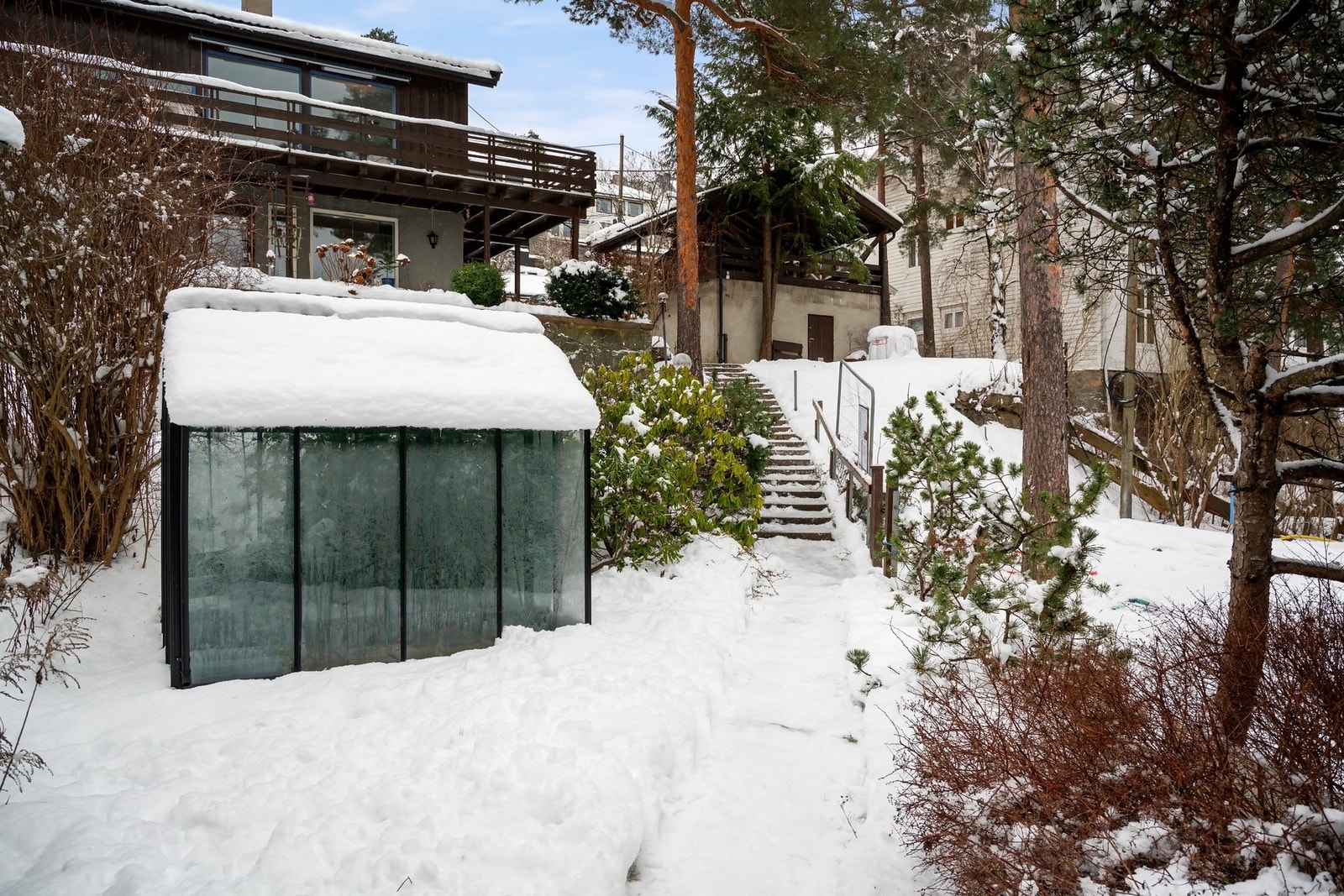 Drivhus Galleribilde