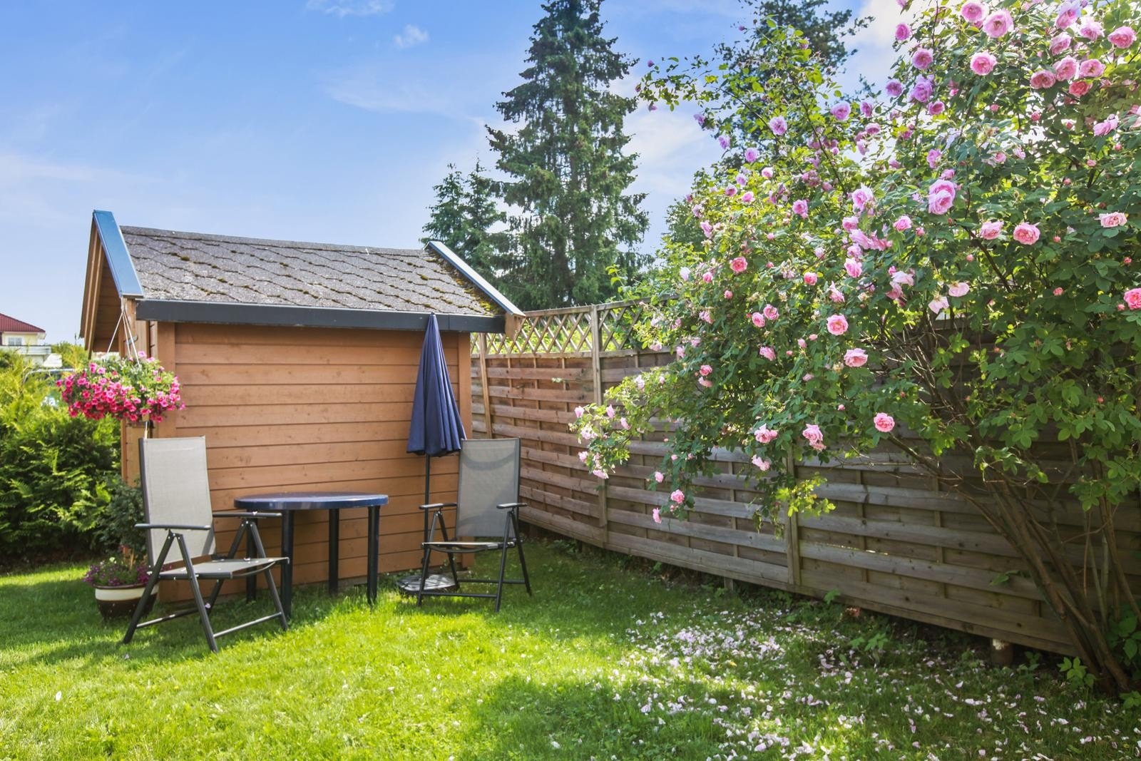 Felles hage Galleribilde