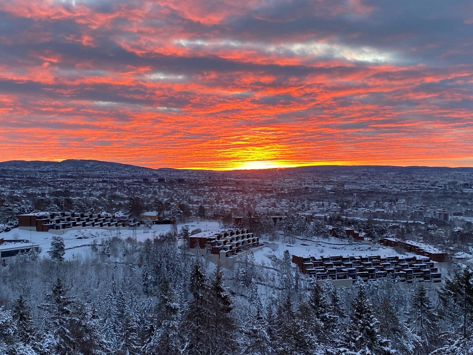 Selgers private bilde Galleribilde