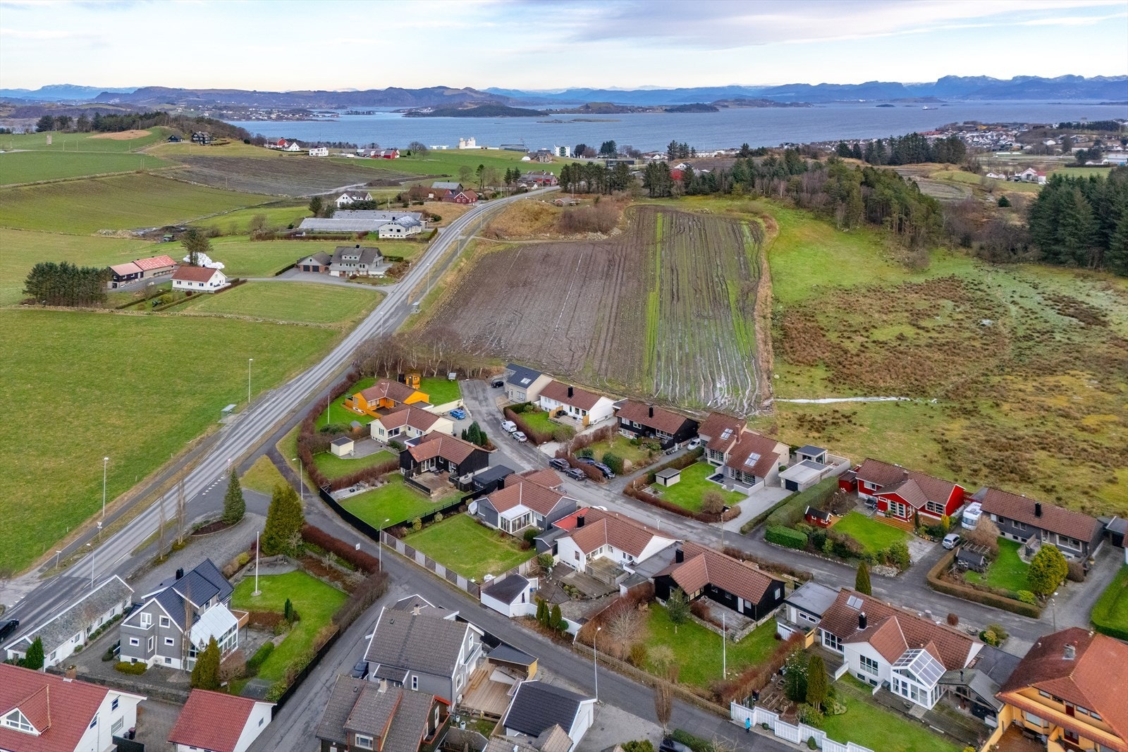 Nærområde Galleribilde