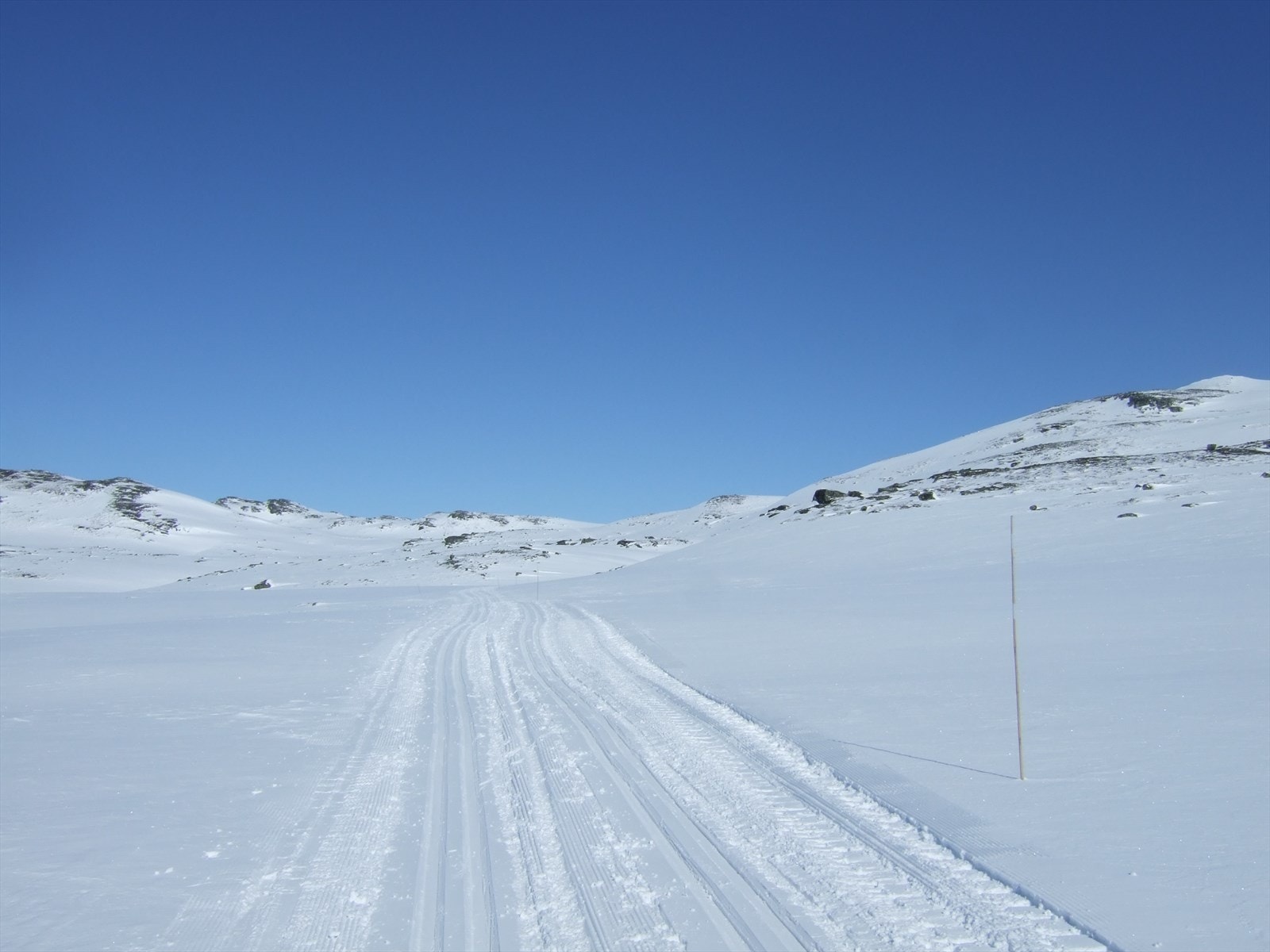Preparerte løyper i nærheten. Galleribilde